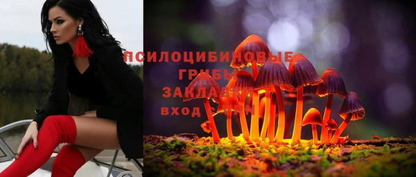 сатива Богданович