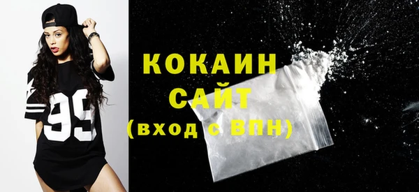 сатива Богданович