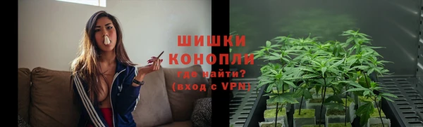 сатива Богданович