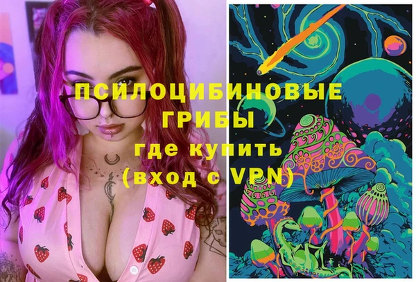 сатива Богданович