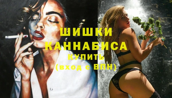 сатива Богданович